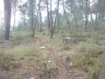 DSC00345.jpg