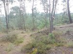 DSC00346.jpg