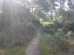 DSC00353.jpg