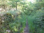 DSC00354.jpg