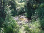 DSC00355.jpg