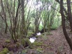 DSC00360.jpg