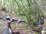 DSC00363.jpg