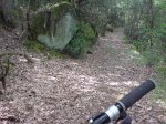 DSC00365.jpg