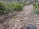 DSC00366.jpg