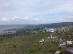 DSC00374.jpg