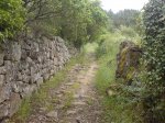 DSC00375.jpg