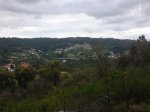 DSC00377.jpg