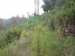 DSC00378.jpg
