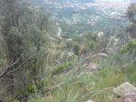 DSC00381.jpg