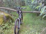 DSC00383.jpg