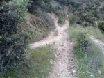 13052008045.jpg