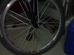27042008268.jpg