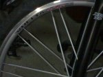 27042008269.jpg