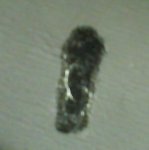 foto1.JPG