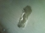 foto2.JPG