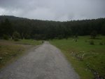 DSCN4252.jpg