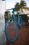 bluebike1.jpg