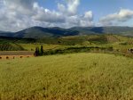24-05-08_0949.jpg