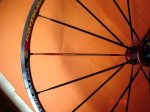 roda2.jpg