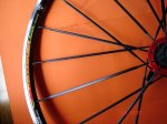 roda5.jpg