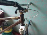 DSC00069.jpg