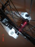 DSC01010.jpg