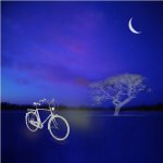 bluebike19.JPG