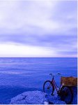 bluebike21.JPG