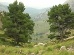 DSCN4026.jpg