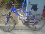 DSC00485.jpg
