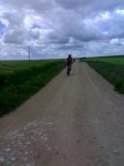 24052008817.jpg