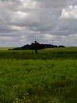 24052008819.jpg