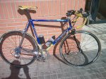 COLNAGO.jpg