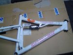 DSC03665.JPG
