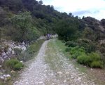 24052008041.jpg