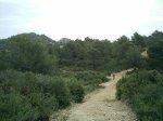 IMAG0002.jpg