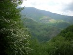 DSCN1700.JPG