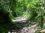 DSCN1748.JPG
