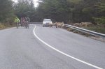Sierra Nevada Limite 2008 (29).jpg