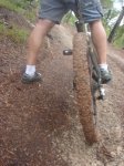 StJoanyAlrededores-02.jpg