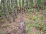 IMG_5448.JPG