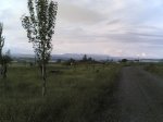 via verde 2008 005.jpg