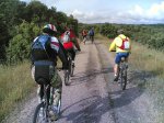via verde 2008 013.jpg