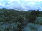 via verde 2008 028.jpg