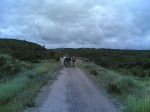 via verde 2008 038.jpg