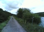 via verde 2008 046.jpg