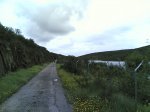 via verde 2008 047.jpg