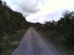 via verde 2008 048.jpg