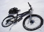 DSC02247.jpg